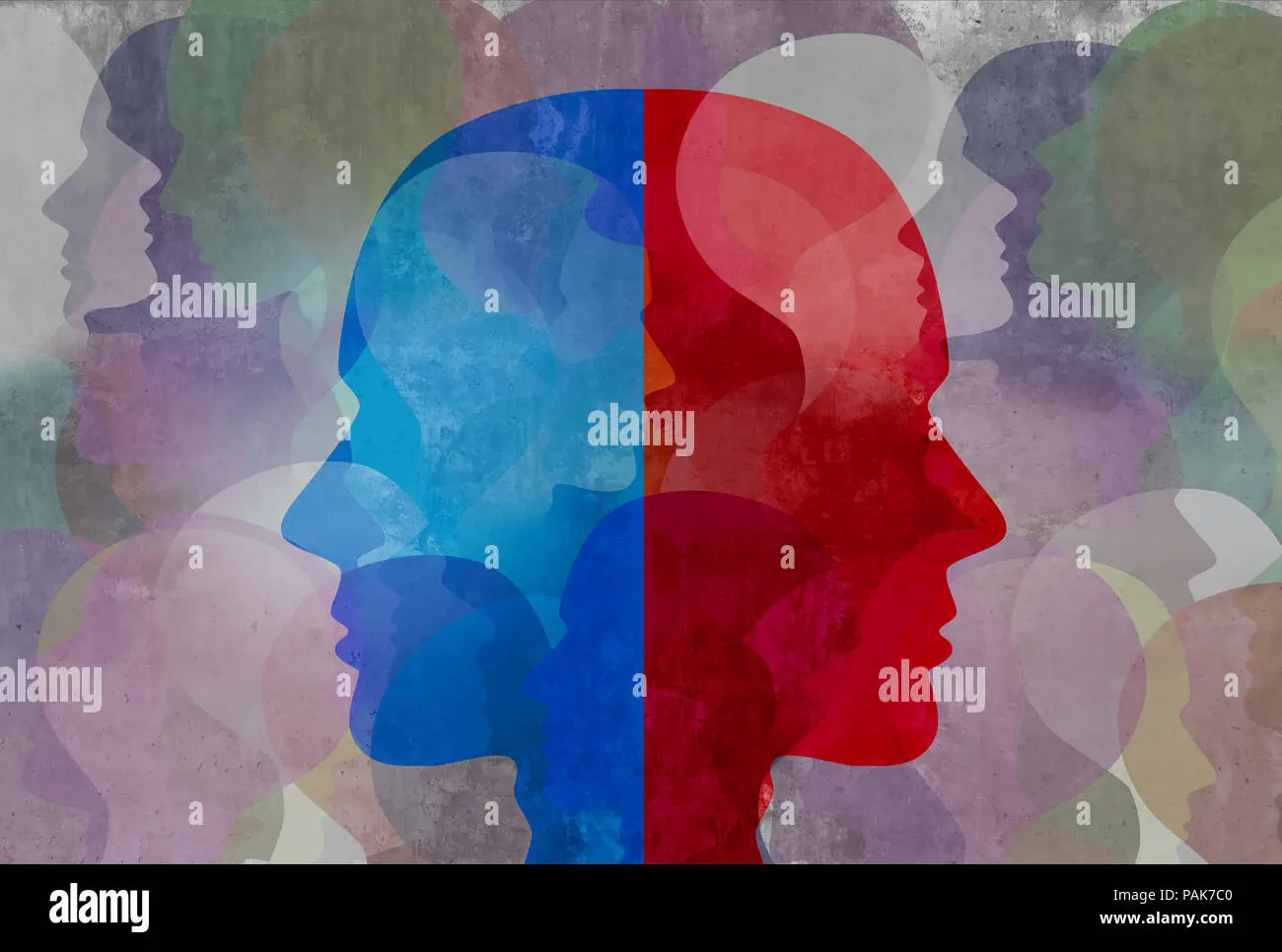 Schizophrenia — Split Mind or Split Personality?