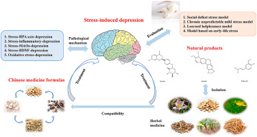 Scientists have uncovered the connection between depression and the thirst for information