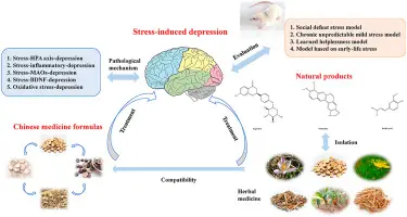 Scientists have uncovered the connection between depression and the thirst for information