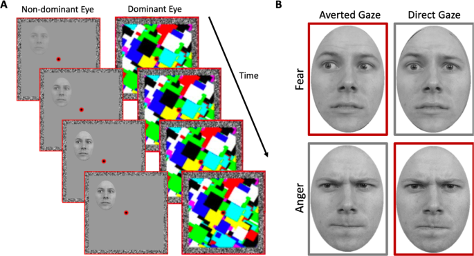 Scientists have understood which faces are “written” with threat and dominance