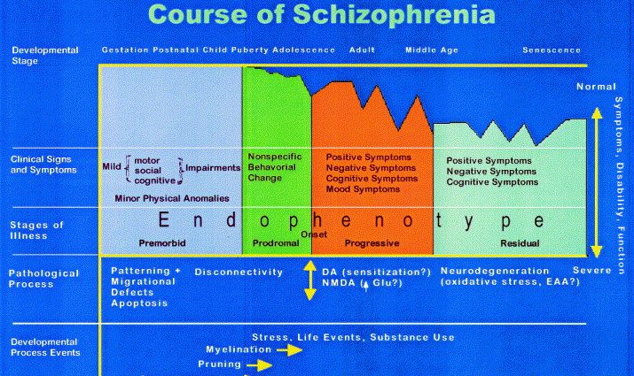 Stages of schizophrenia: initial