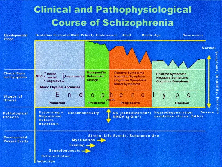 Stages of schizophrenia: initial