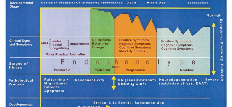 Stages of schizophrenia: residual