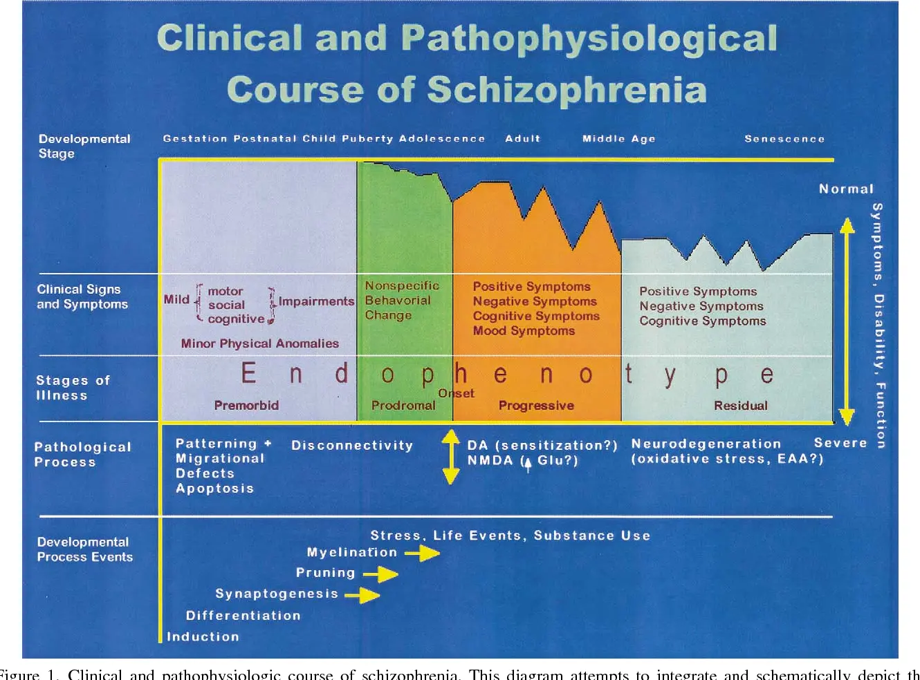 Stages of schizophrenia: residual