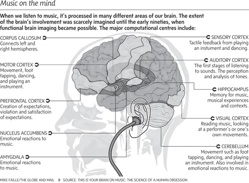 Studies of the influence of classical music on the human body