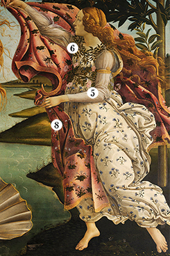 «The Birth of Venus» by Sandro Botticelli: what does this picture tell me?