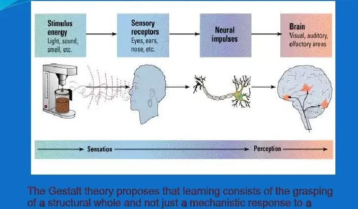 The concept of Gestalt psychology: its characteristics and main tasks