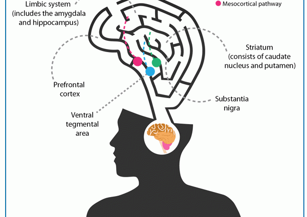 The connection between schizophrenia and drugs