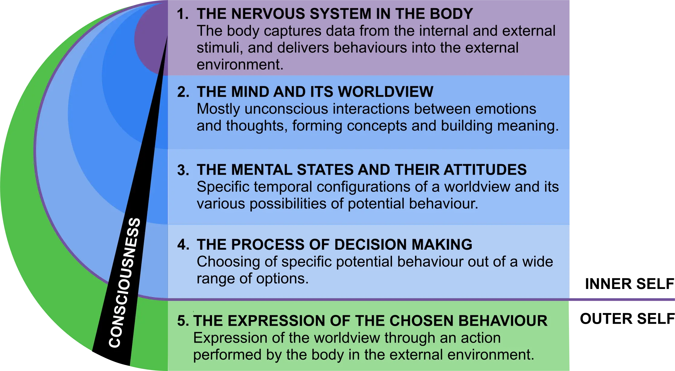 The main types of worldview: how to determine your type and why is it important to know the conscious personality?