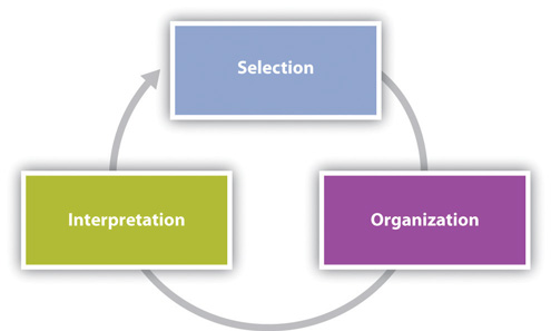 The perceptual side of communication: the mechanisms of our perception of the interlocutor