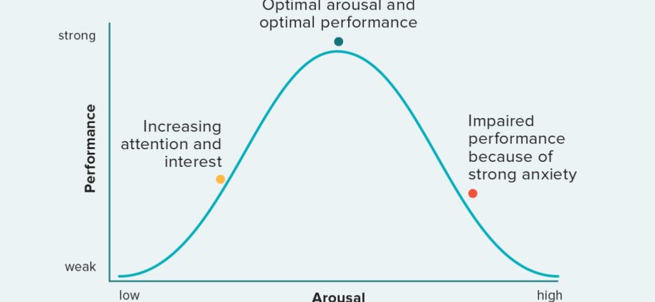 The Yerkes-Dodson law or why motivation can be harmful?