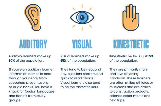 There are no «audials», «visuals» and «kinesthetics»