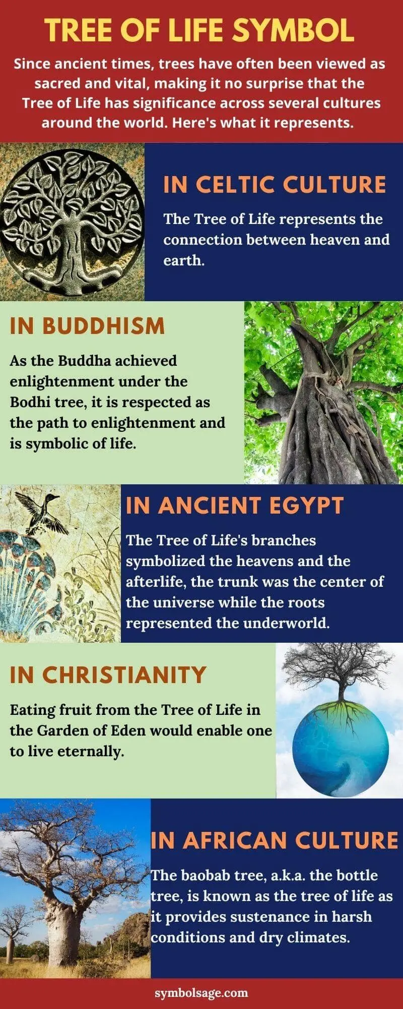 «Tree of Life»: why it is important for us to know the history of our kind