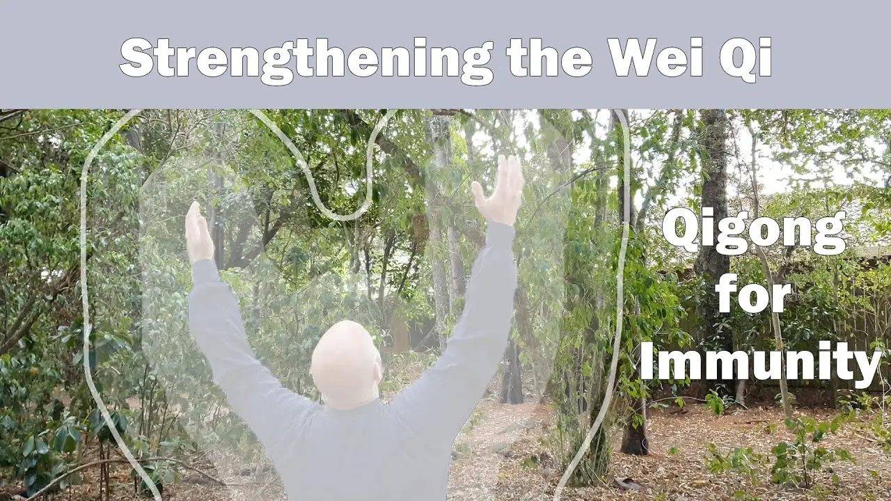 Wei qi — protective energy of the body: exercise and nutrition for immunity