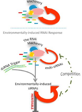 What is genetic memory and how to use it?