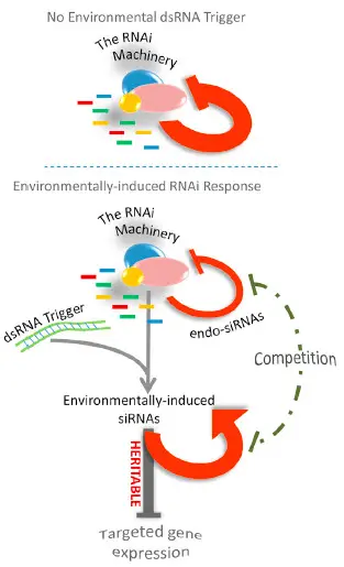 What is genetic memory and how to use it?