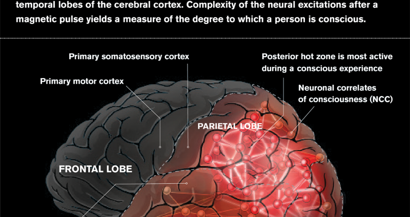 What is mass consciousness and the main methods of modern manipulation