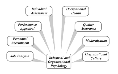 What is organizational psychology and why is it needed in a company?