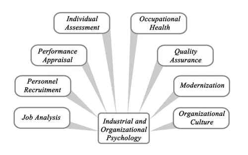 What is organizational psychology and why is it needed in a company?