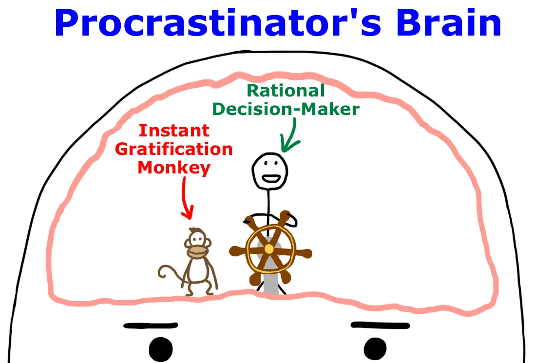 What is procrastination and what is a procrastinator?