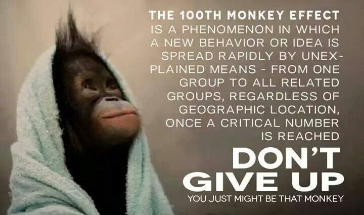 What is the «hundredth monkey effect» or how can the world be changed?