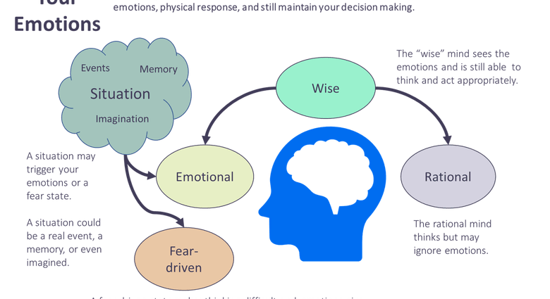 What to do if emotions interfere with life — the main methods of control