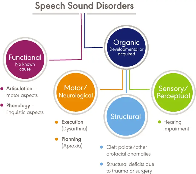 Why does everyone need speech articulation?