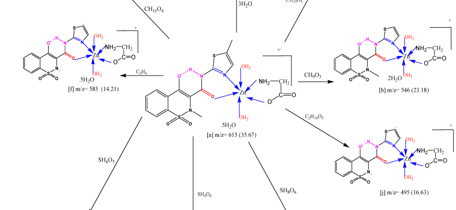 10 best analogues of Meloxicam