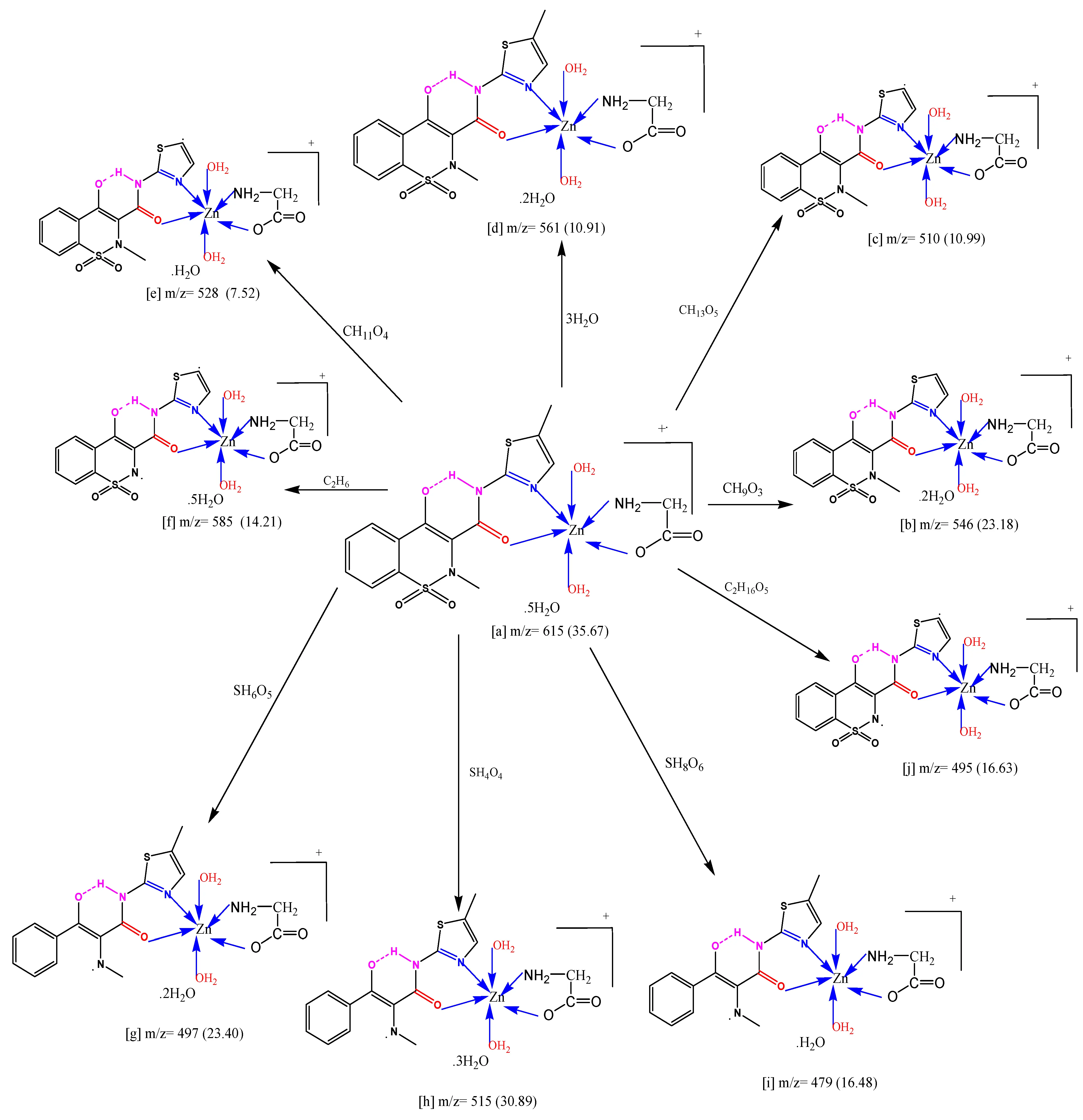 10 best analogues of Meloxicam