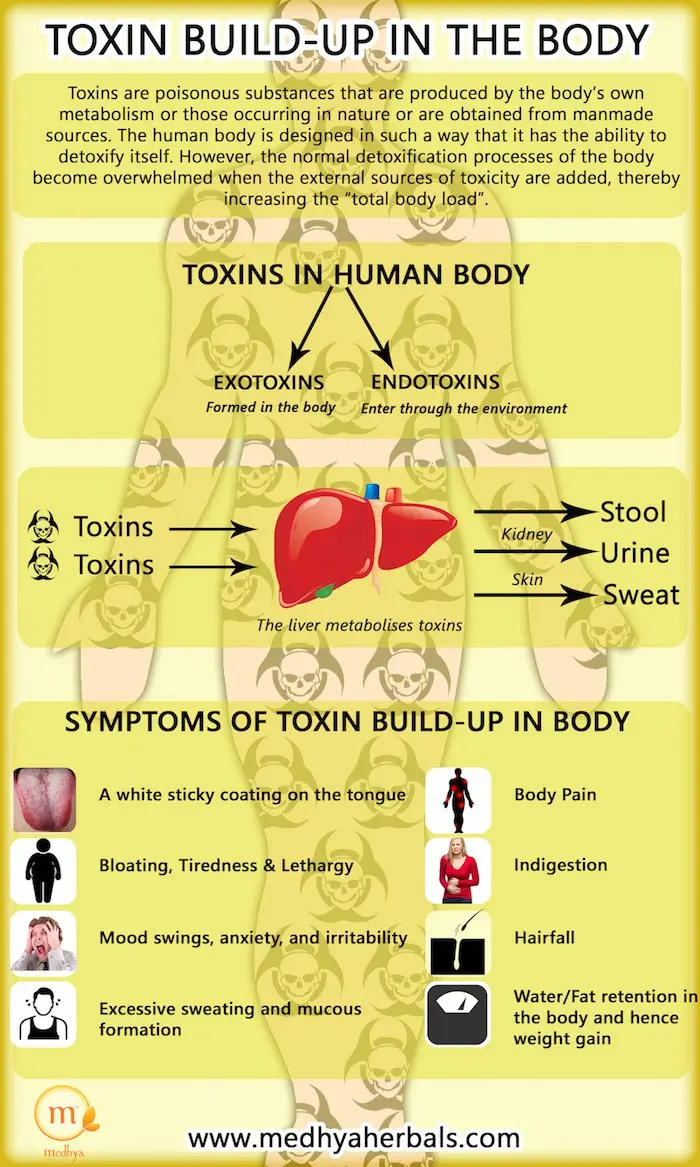 10 best preparations for cleansing the body of toxins and toxins