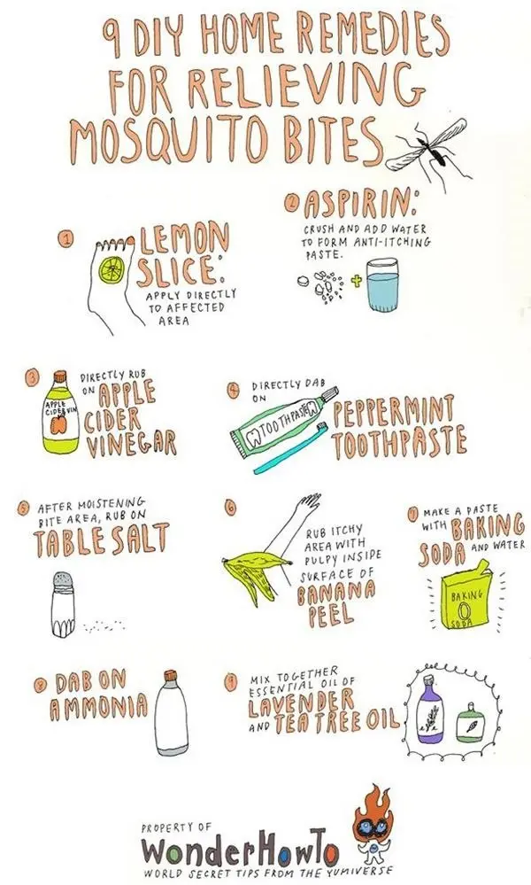 10 best remedies for itching after a mosquito bite