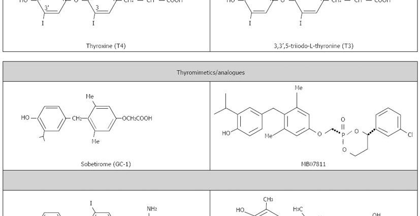 5 best analogues of L-thyroxine