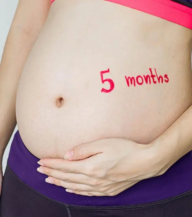 5 pregnancy month
