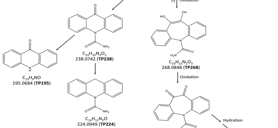 7 best analogs of Carbamazepine