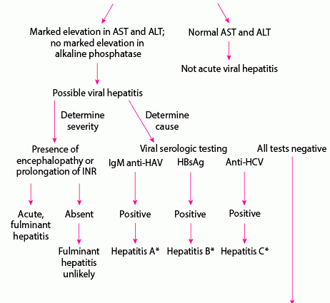 Acute hepatitis