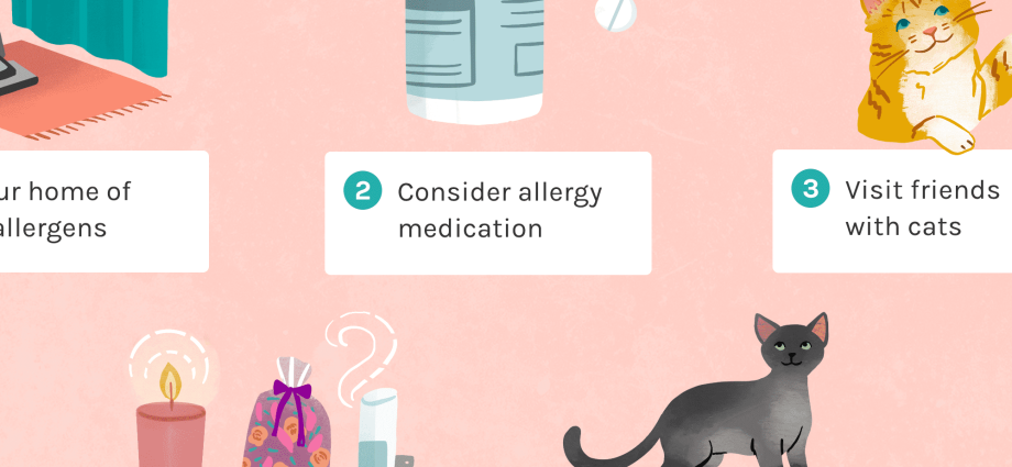 Allergy to cats