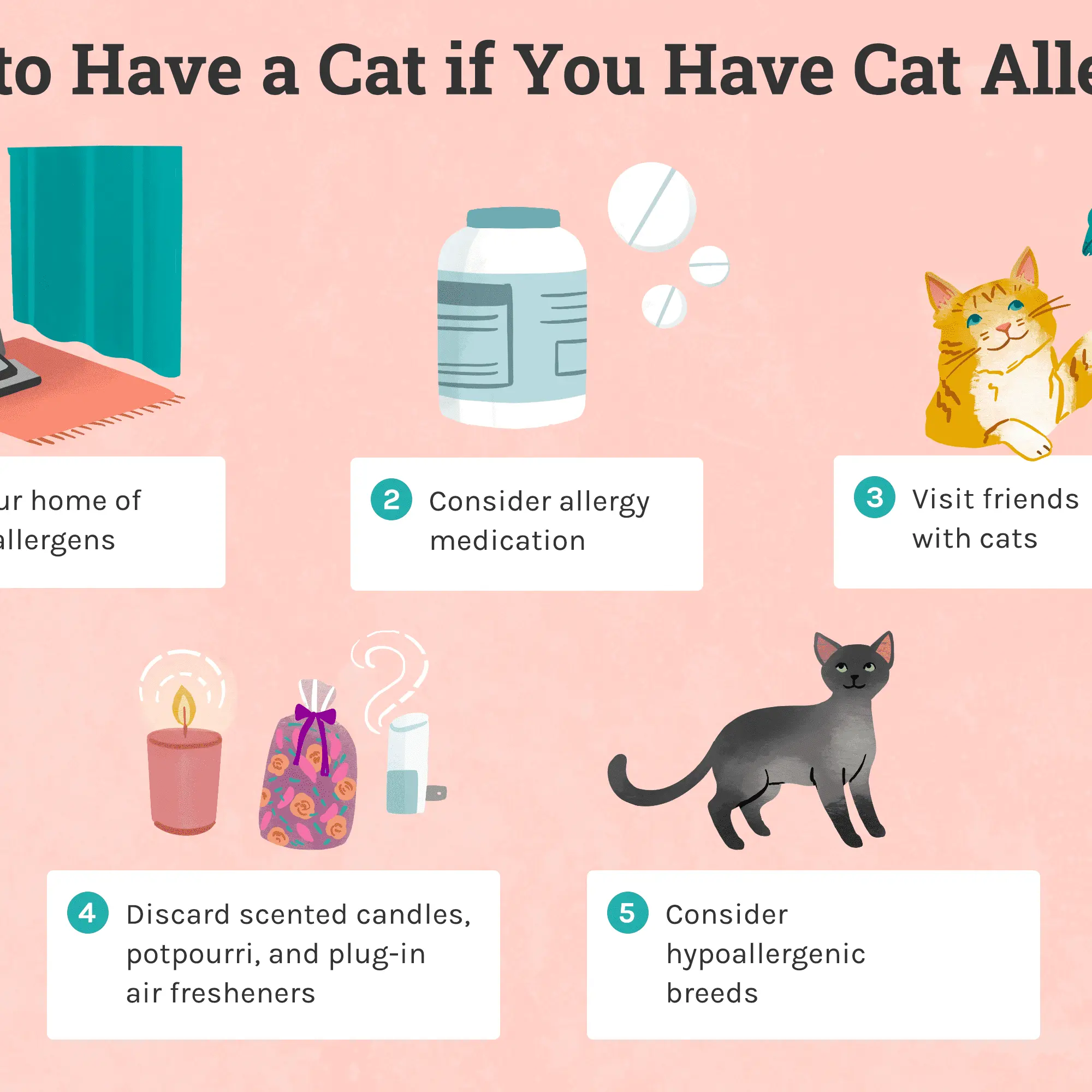 Allergy to cats