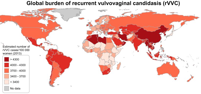 Allocations with thrush in women