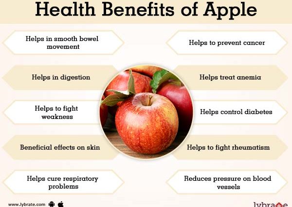 Apples: benefits and harms to the body