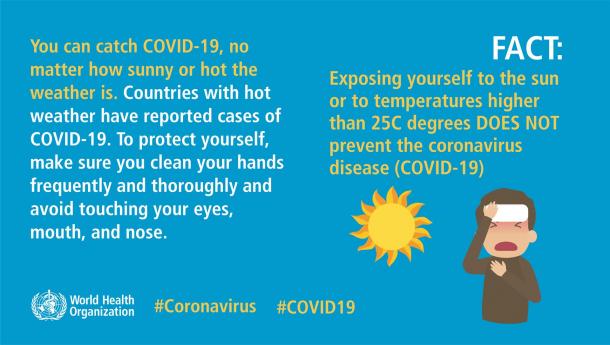 At what temperature does the coronavirus die?