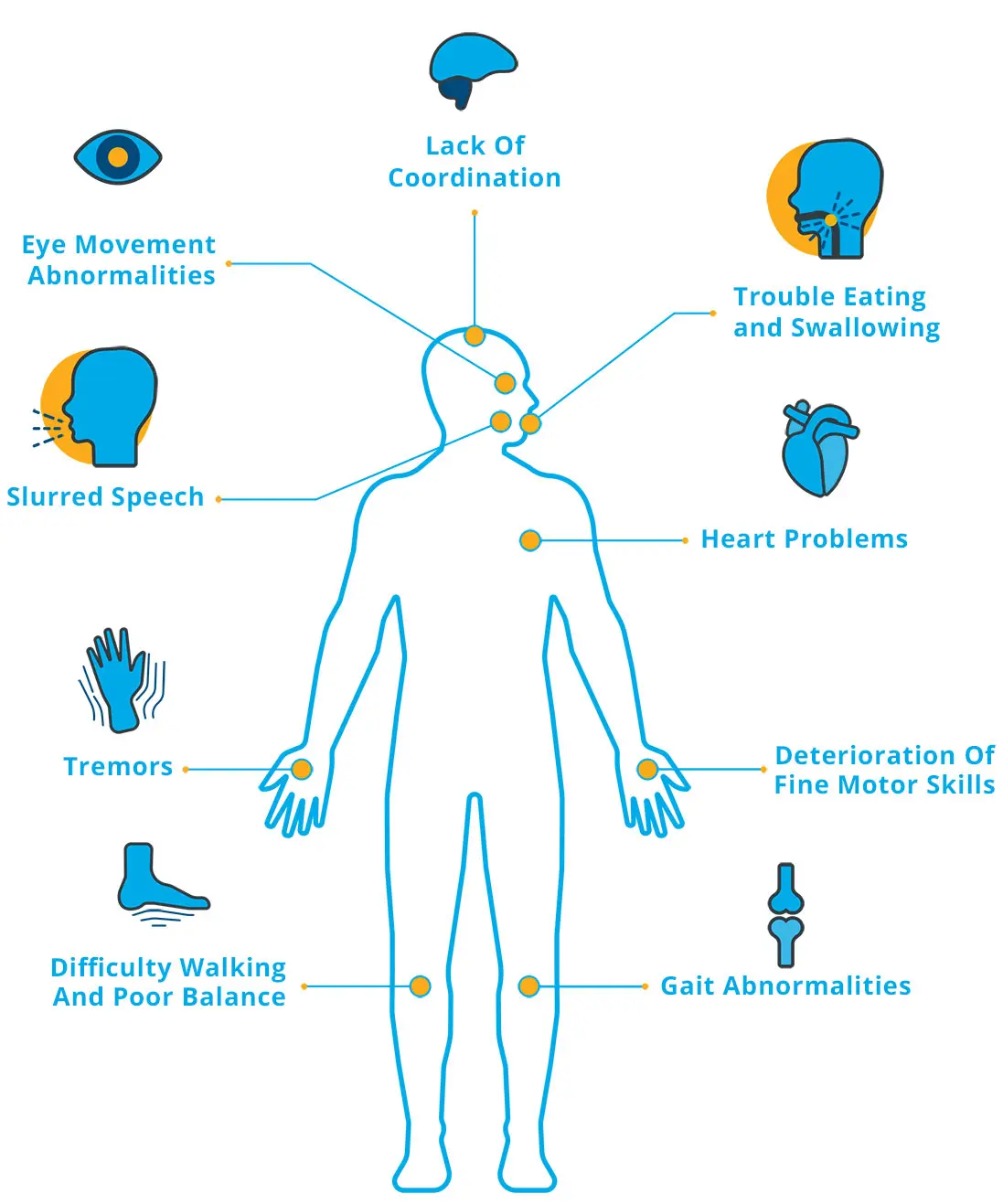 Ataxia in humans