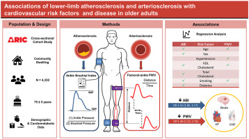 atherosclerosis in adults