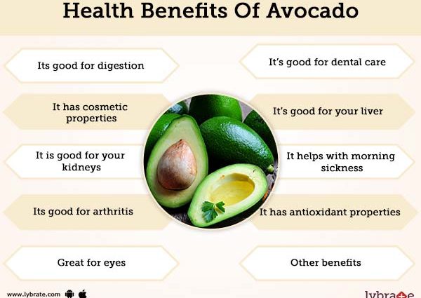 Avocado: benefits and harms to the body