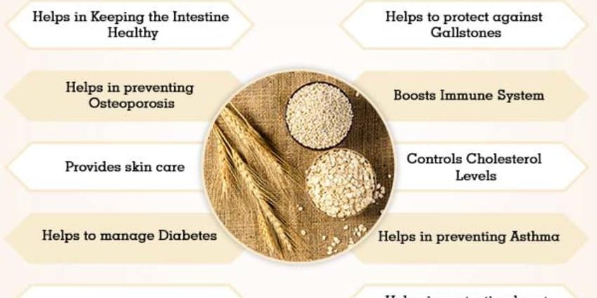 Barley: benefits and harms to the body