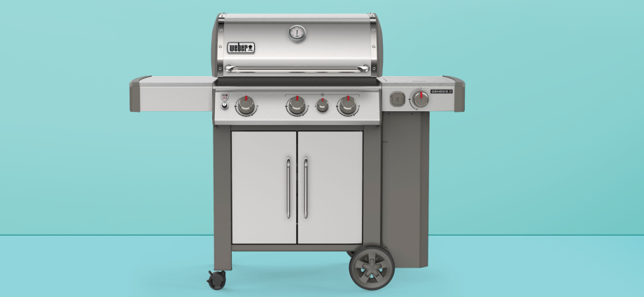 Best BBQ Ovens 2022