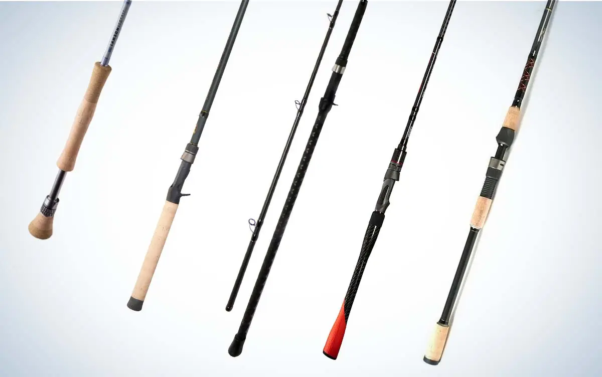 Best Fishing Rods 2022