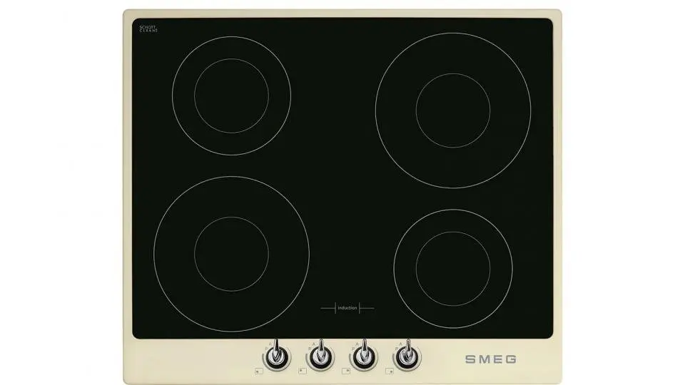 Best induction hobs 2022