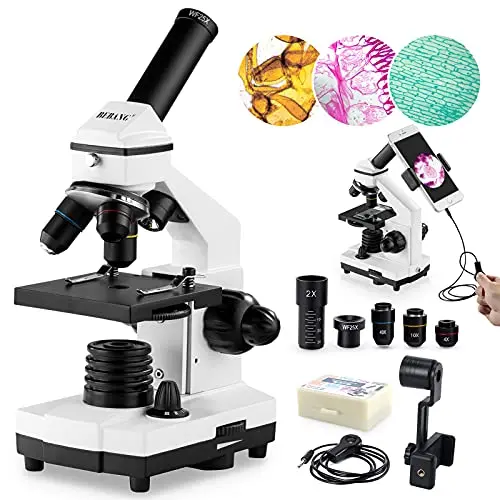 Best Microscopes 2022