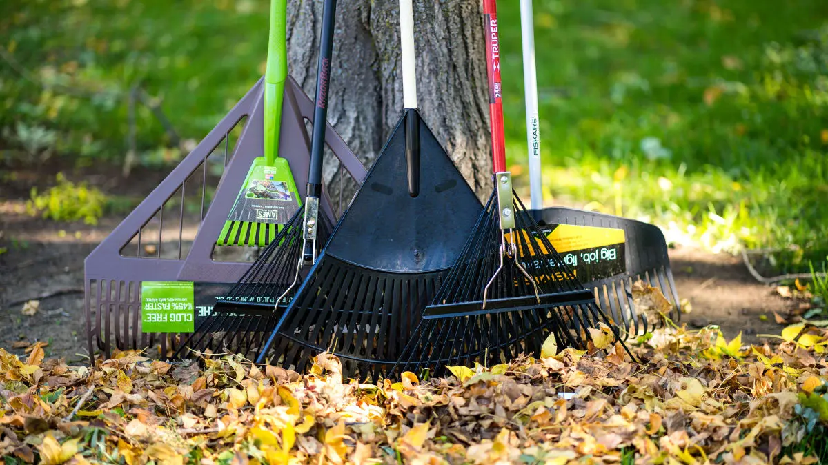 Best rake 2022