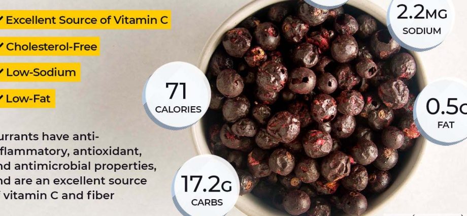 Blackcurrant: health benefits and harms